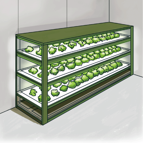 植物工場